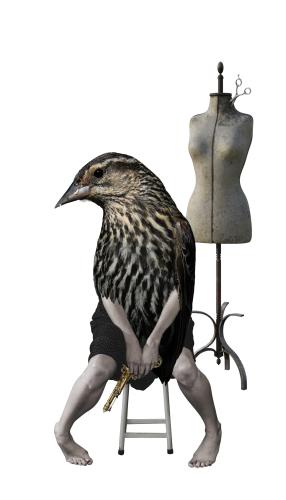 Desórdenes mentales